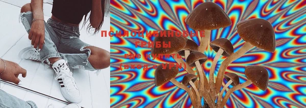 шишки Балахна