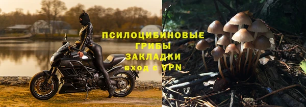 марихуана Белокуриха
